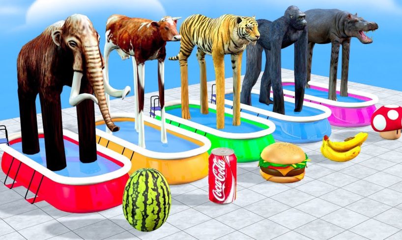 Choose the Right Duck Cartoon Animal Crossing Fountain with Elephant Mammoth Gorilla Cow Tiger T-Rex