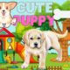Cute baby animals Videos Cutest Moment of the Animals - Cutest Puppies
