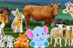Cute little animals: cat, chick, dog, cow, monkey - real animal sounds