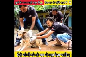 Dog accident 😱 #संस्कारीsahil #woodworking #trending #youtubeshorts #short