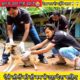 Dog accident 😱 #संस्कारीsahil #woodworking #trending #youtubeshorts #short