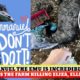 Emmanuel the Emu the Viral tiktok bird is near death door, flue hits Knuckle Bump Farm