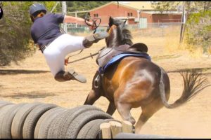 Fails Of The Week #11 l 45 Incredible Moments Caught On Camera