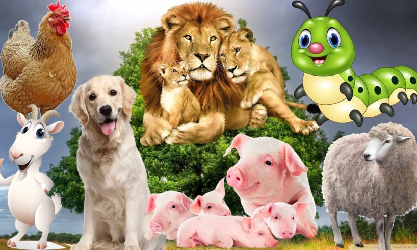 Farm animals, animal sounds dog, cat, pig, elephant, monkey, chicken, goat, sheep, cows