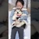 Funniest and Cutest Puppies, Funny Puppy Video 2022 Ep1686