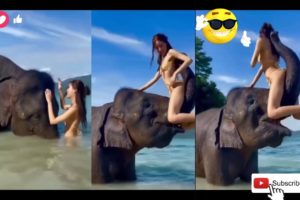 Funny Videos 2022 | Instant Regret | Fails Of The Week | Fail Compilation 2022 | Fails | VR Fun24