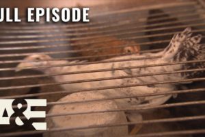 Hoarders: 200 Chickens Living in a Trailer - Full Episode (S3, E19) | A&E