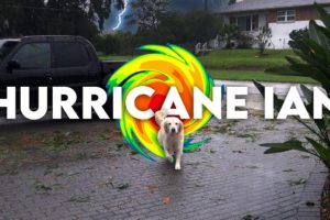 How Our Pets Reacted to Hurricane Ian