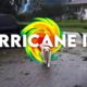 How Our Pets Reacted to Hurricane Ian