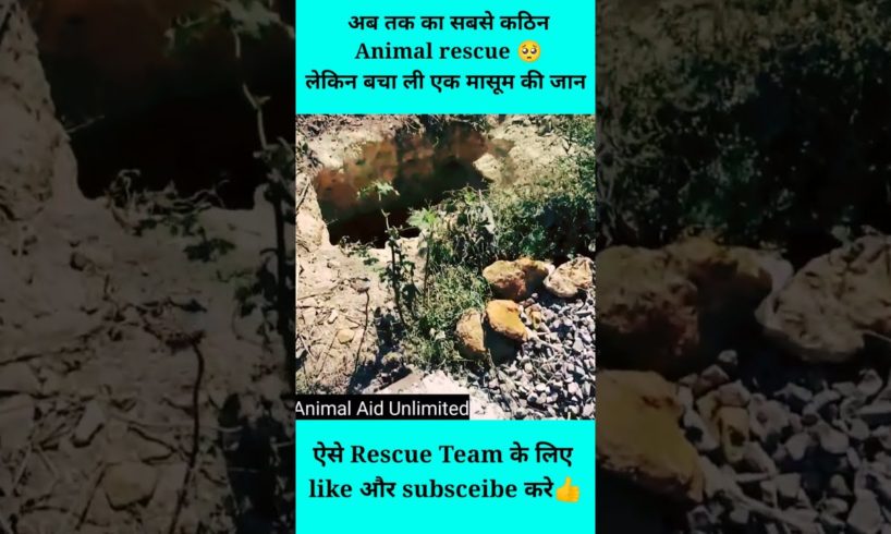 How a rescue team saves a dog life from point of deth ๐ฅ | interesting fact | #shorts