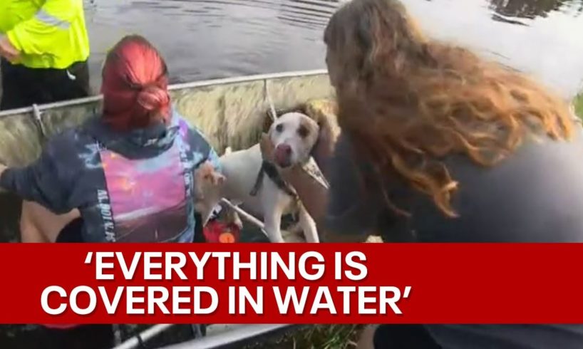 Hurricane Ian: Several dogs rescued from flooded Orlando home, blind senior dog still missing