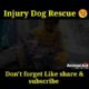 Injury Dog Rescue 😢| Animal Rescue video #animalrescue #shorts