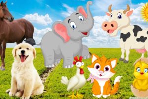Interesting animal sounds, familiar animals dog, cat, monkey, horse, goat, sheep, elephant