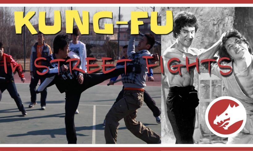 Kung Fu in Street Fights (MUST WATCH!)