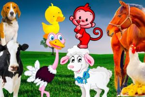 Learn about adorable animals: cow, cat, dog, duck, horse - animal sounds