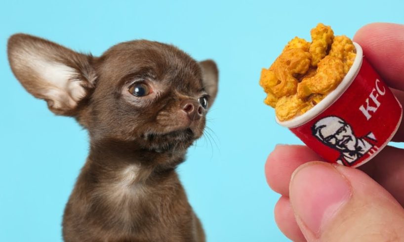 Making Tiny Foods for a Tiny Rescue Dog 🍩🍔🐶