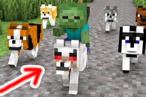 Monster School : Baby Zombie and Dog Rescues Friends - Minecraft Animation