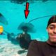 NEAR DEATH CAPTURED By GoPro And Camera #113! REACTION