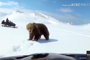Near DEATH captured on camera😱
