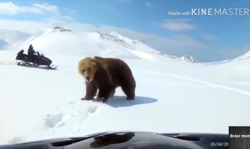 Near DEATH captured on camera😱