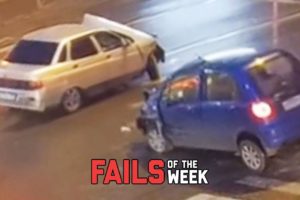 No One Was Harmed | Fails Of The Week