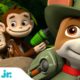 PAW Patrol Jungle Rescues w/ Tracker! 🐵 | 30 Minute Compilation | Nick Jr.