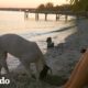 Pareja conoce a un perro de playa en México que cambia su vida | El Dodo
