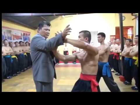 People Are Awesome  Vietnamese Kungfu Demonstration- Nam Huynh Dao