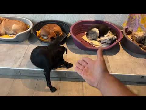 Raining a lot 🌧🌧🌧 - Takis Shelter