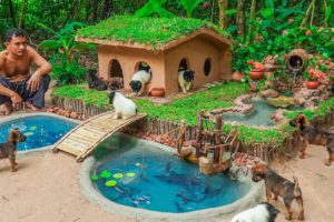 Rescue Cute Puppies Build New Dog House Mud And Fish Pond Aquarium