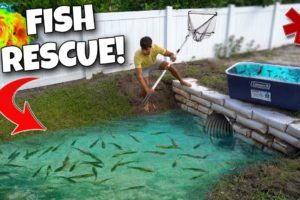 Rescuing FISH From HURRICANE FLOOD!!