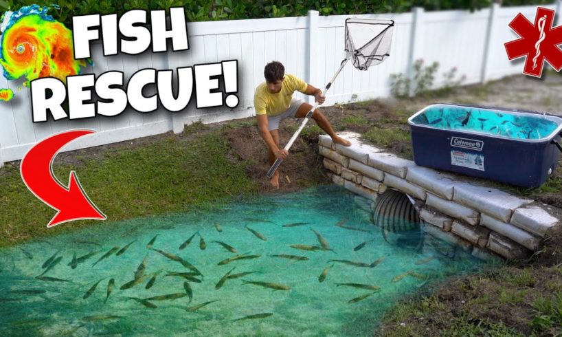 Rescuing FISH From HURRICANE FLOOD!!