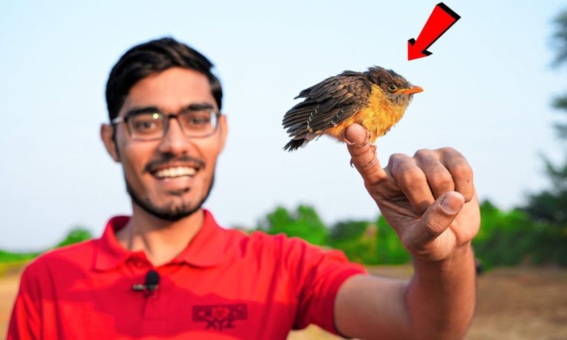 Saving a Baby Bird- Rescue Mission | क्या इस छोटे पक्षी को अपना घर मिल पाएगा? Heart Touching End