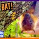 Silly Bat Tries SO Hard To Be Scary! | Dodo Kids | Happy Halloween