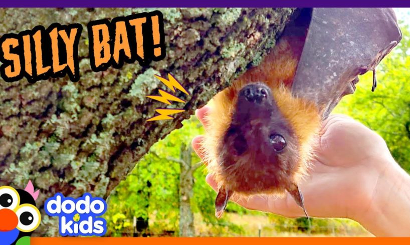 Silly Bat Tries SO Hard To Be Scary! | Dodo Kids | Happy Halloween