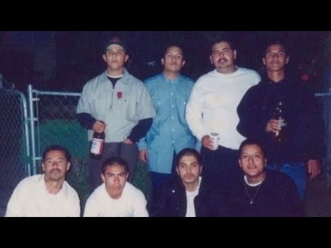 The Story of the 204th Street Gang  “Most Notorious Varrio of Harbor Gateway”