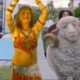 Tik Tok funny Dancing Singing Cute Animals & Humans
