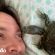 Tortuga es inseparable de su papá | Almas Gemelas | El Dodo