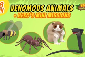 Venomous Animals - Junior Rangers and Hero's Animals Adventure | Leo the Wildlife Ranger