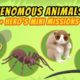 Venomous Animals - Junior Rangers and Hero's Animals Adventure | Leo the Wildlife Ranger
