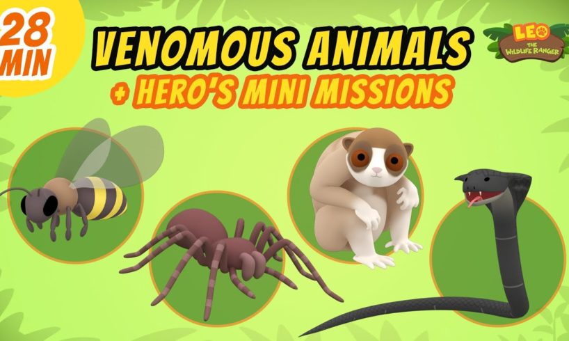 Venomous Animals - Junior Rangers and Hero's Animals Adventure | Leo the Wildlife Ranger