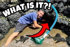 WHAT DID WE FIND LIVING IN THIS BLACK TAR WATER?!