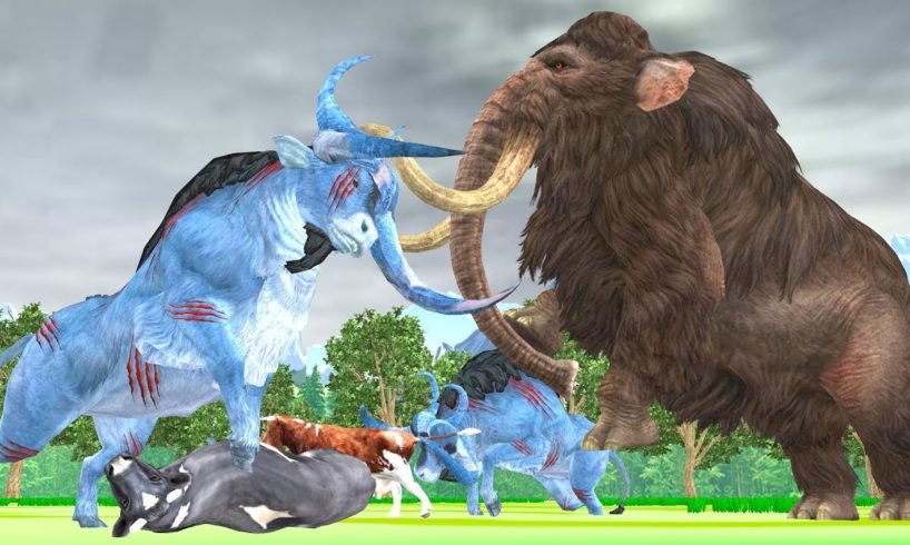 Woolly Mammoth Elephant vs  Zombie Bulls Animal Fight Cartoon Cow Rescue Saved By Woolly Mammoth