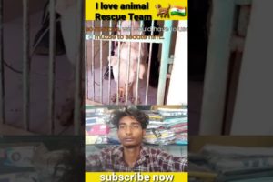 animals rescue team animal save video animals bass boosted #manishk23 #ytshots #YouTubeshots video