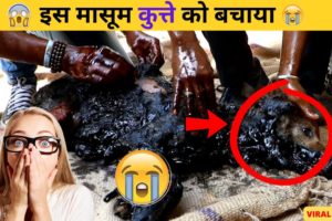 आज भी इंसानियत जिंदा है😭😭 #shorts #viral #trending #viralvideo