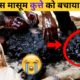 आज भी इंसानियत जिंदा है😭😭 #shorts #viral #trending #viralvideo