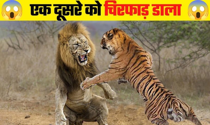 जानवरों की सबसे भयानक लड़ाई | 05 Most Dangerous Wild Animal Fights | Amazing Fact 18 🔥