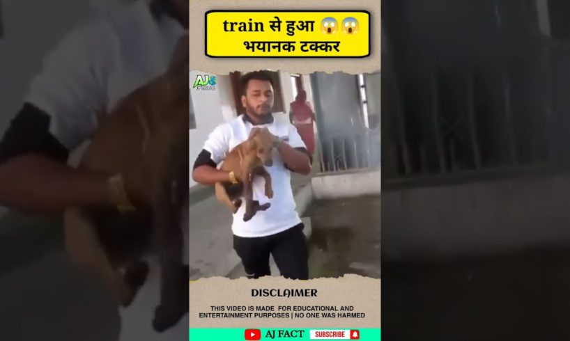 तीन पैर से चलने वाला जानवर 😓 | wait for end #shorts