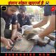 बहुत बहुत धन्यवाद 🙏 rescue team | rescue videos | #rescue #animals #salute