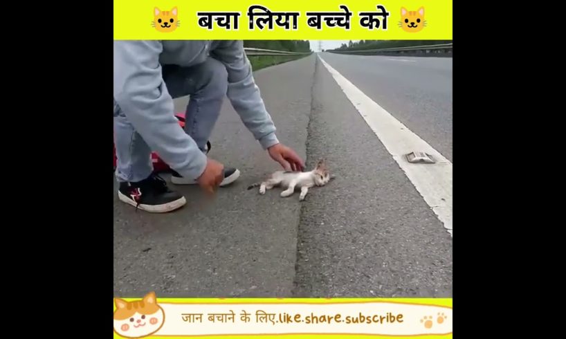 😭भले इन्शान ने इस बच्चे को बचा लिया ||#shorts #animal#viralshorts #viral#ytshorts @SK KARAN FACT